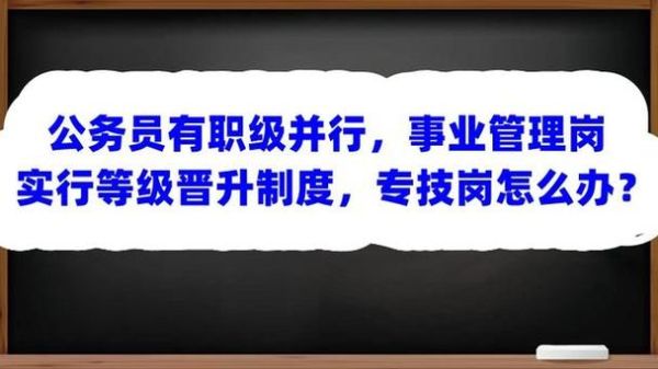 事业单位聘用制干部能职级并行吗？事业单位聘任制十年-图2