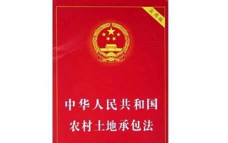 土地承包法243条规定？单位土地经营权的司法解释-图2