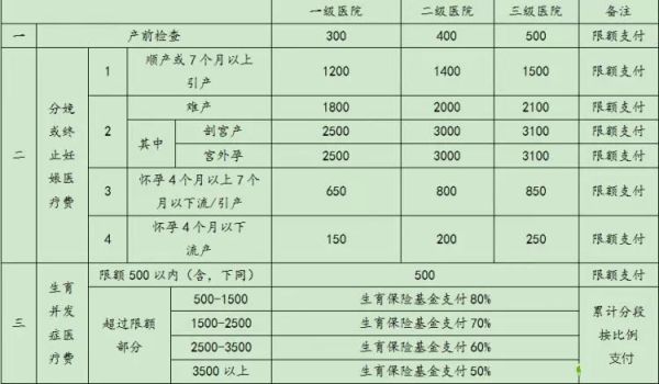 2021年职工医保生孩子报销多少？生育保险报销金额个人与单位-图1