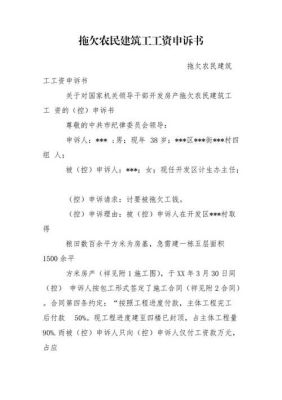 12345拖欠农民工款最快的解决方法？事业单位拖欠工资申请怎么写-图1