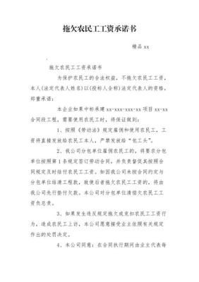 12345拖欠农民工款最快的解决方法？事业单位拖欠工资申请怎么写-图2