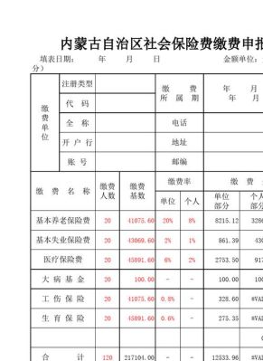 社会保险费缴费申报表怎么填的？（缴费单位应缴险种登记表下载）-图2