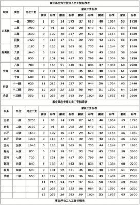 事业单位最新薪级标准？（事业单位标准工资包括哪些）-图3