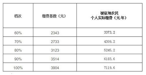 2015年的社保怎么样补交？（2015单位停保了社保怎么交）-图1