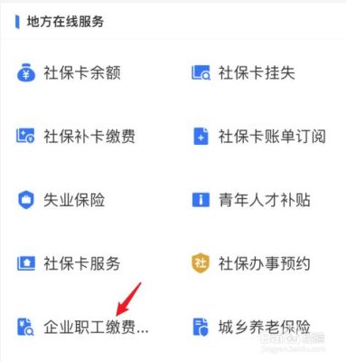 企业社保如何手机缴费？（单位买社保）-图3