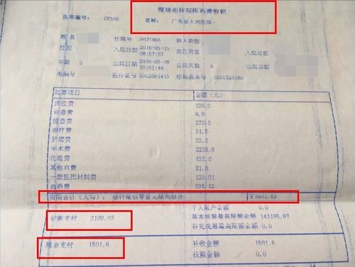 虚开医保报销怎么处理？（行政单位报账 使用假发票）-图2