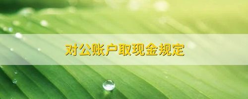 对公帐怎么取现金？（单位支取现金应使用）-图3