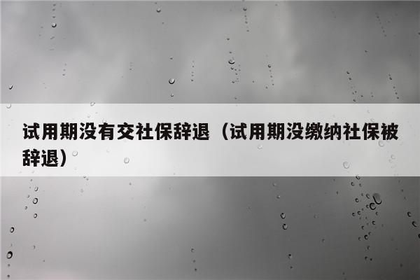 上家单位社保没退能入职新单位吗？（没有原单位合同不能入职么）-图1