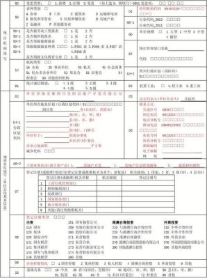 个体户，法人单位有区别吗？（法人单位经营情况表）-图2