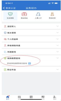 上海社保连续缴纳怎么查？（上海如何查询单位社保扣款明细）-图3