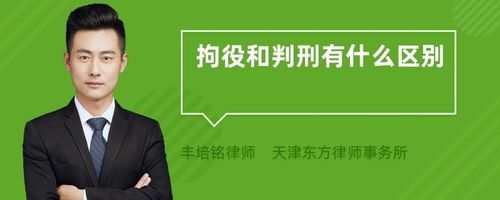 判处拘役可以在裁判网查到吗？（拘役单位能查到吗）-图1