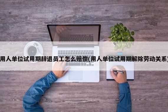 一个月试用期可以随时辞职吗？（试用期可以借其它单位吗）-图3