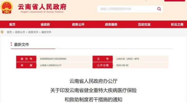 云南一次性救助金申请入口？（云南医疗救助单位）-图3