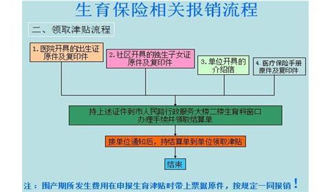 德州生育险个人可以去报销吗？（德州事业单位无生育险如何报销）-图1