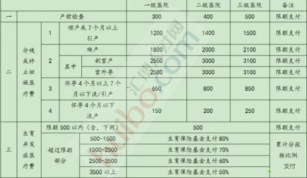 德州生育险个人可以去报销吗？（德州事业单位无生育险如何报销）-图3