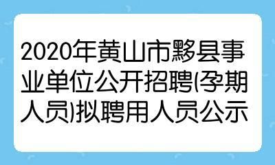 人事单位能聘孕妇吗？（事业单位招聘 孕妇）-图1