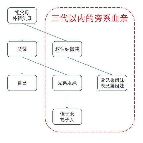 舅舅是直系还是旁系？（舅舅用这个为一单位）-图1