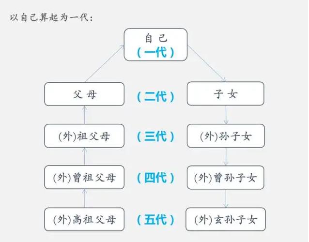 舅舅是直系还是旁系？（舅舅用这个为一单位）-图2