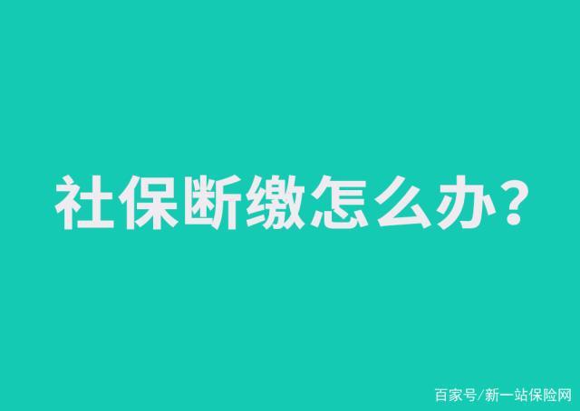 单位社保中断个人该如何续交社保？（单位如何停缴社保）-图2