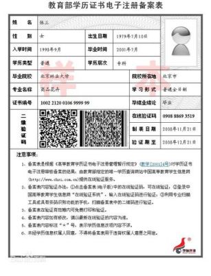 职称晋升学历认证报告提供电子信息备案表可以吗？（事业单位学历认证）-图3