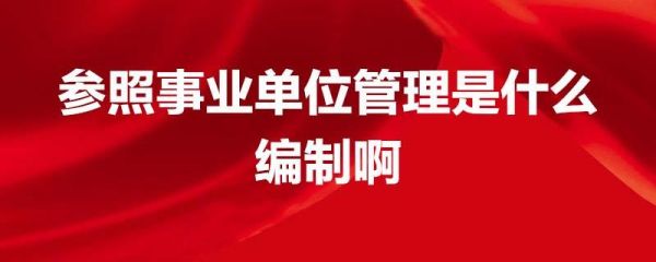 谁能详细解释一下事业编制企业管理是什么意思？（事业单位 企业管理）-图2