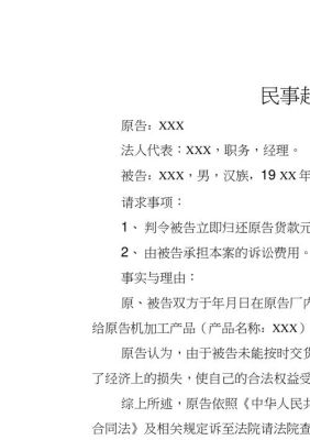 有证人的民事起诉状怎么写（个人起诉单位民事起诉状下载）-图3