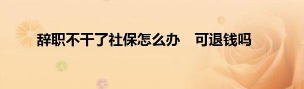 社保两边单位重叠交了怎么退？（单位交的社保怎么退钱）-图3