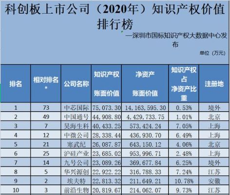 知识产权上市公司前十（知识产权单位具体负责什么）-图2