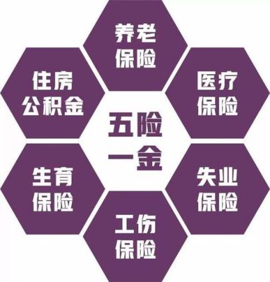 事业单位为什么只缴纳了三险一金？（事业单位为啥只有三险）-图3