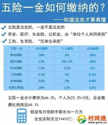 事业单位五险一金扣3000什么水平？（事业单位扣保险）-图2