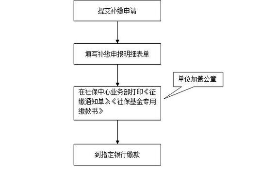 社保补缴申报流程？（新单位补缴社保流程）-图1