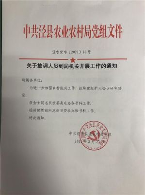 抽调被退回原单位是什么后果？（抽调还会回原单位吗）-图2