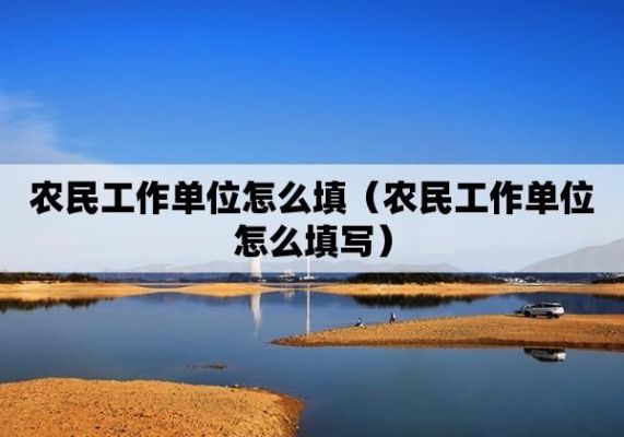 农民的工作单位怎么填？（集体所属单位名称）-图1