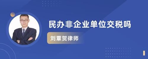 民办非企业需要缴税吗？（民办非企业单位 收入）-图1