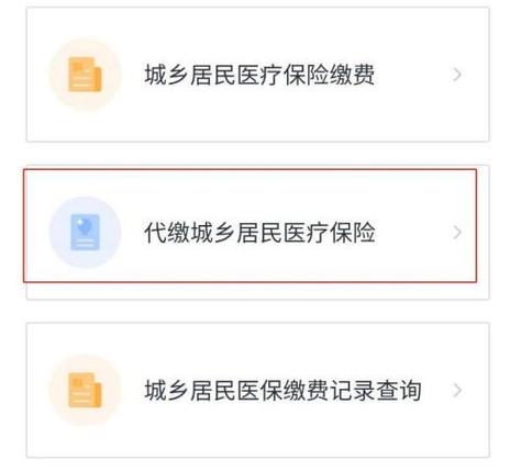 大病险网上怎么缴费？（大病医疗保险单位缴费）-图2