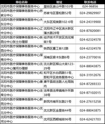 沈阳医保缴费怎么查询缴费记录？（沈阳市医保局单位电话）-图2