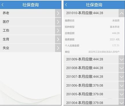 武汉社保补缴如何在网上补交？（武汉单位补缴社保）-图1