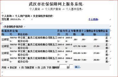 武汉社保补缴如何在网上补交？（武汉单位补缴社保）-图3