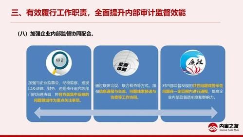 我国行政系统的内部监督是什么？（行政单位内审审查什么）-图2