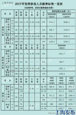 社保可以两家单位同时缴纳吗？（在两家单位交社保）-图2