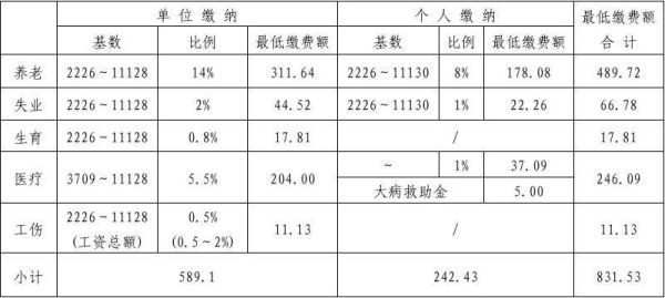 一次补缴5年要补多少滞纳金？（社保单位加征是什么意思）-图2