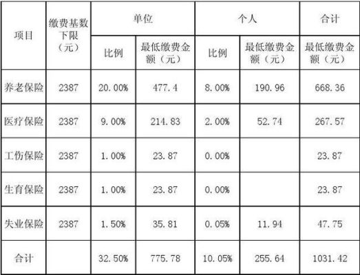 缴费单位数合计什么意思？（社保单位缴费合计小）-图1