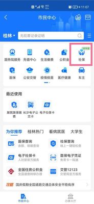 深圳的社保怎么在支付宝上看不到？（深圳市社保单位登录）-图2
