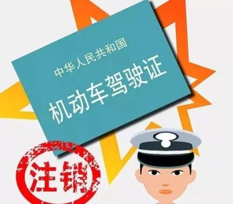 机动车驾驶证什么部门，什么单位可以查看，扣留？（审驾照在什么单位）-图3