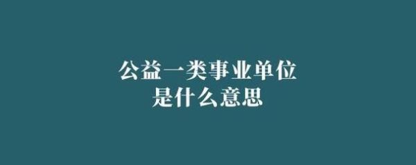 什么是公益一类的事业单位？（什么是公益一类单位）-图2