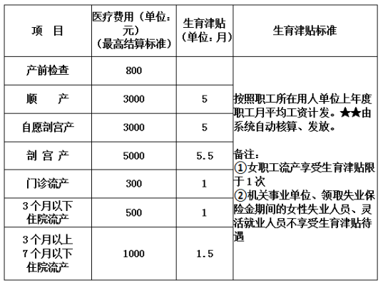 生育保险补缴是什么意思？（单位补缴生育保险）-图2