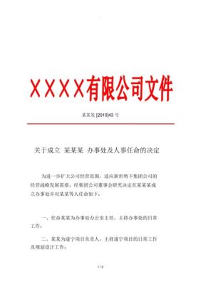 任职文件和任命文件的区别？（单位任职文件）-图3