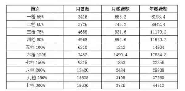 2021年社保截止到几月几号？（单位社保缴纳日期）-图2