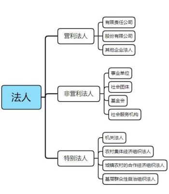 一般法人单位和小规模法人单位区别？（法人机构和法人单位）-图2