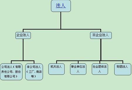 一般法人单位和小规模法人单位区别？（法人机构和法人单位）-图3